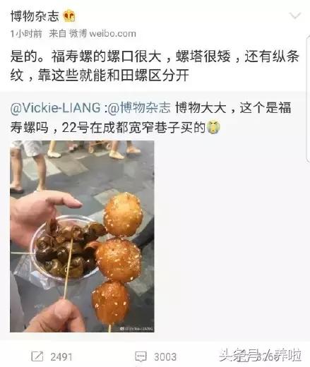 女子吃了福寿螺,吃田螺误吃福寿螺