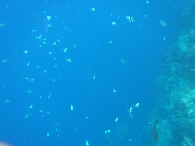 一起去帕劳旅游,去帕劳旅游自由行攻略