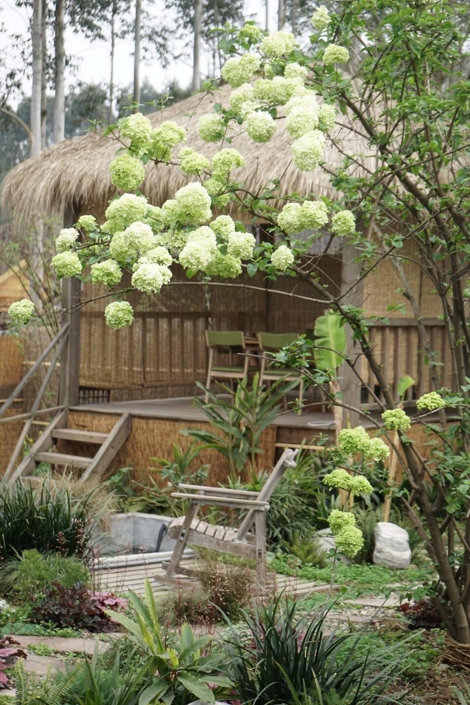 90后帅哥花3000元爆改出租屋后，又买了个破院子