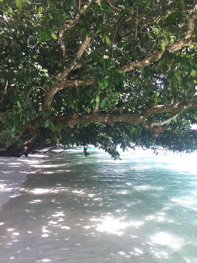 一起去帕劳旅游,去帕劳旅游自由行攻略