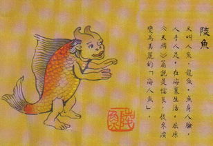 小新孖孖美人鱼故事,小新故事怪谈