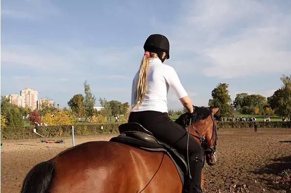 初学骑马的技巧视频,新手骑马的基本要领有哪些呢