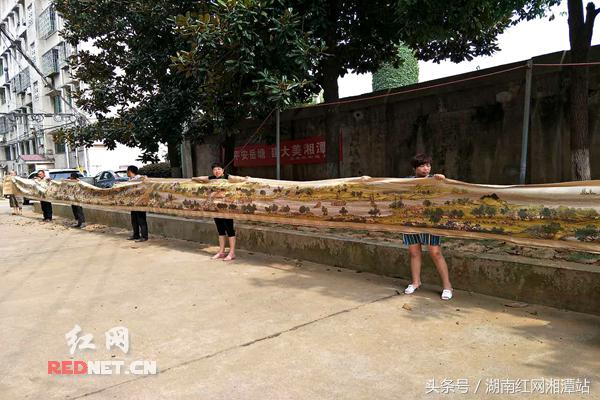 女子花11年绣出22米清明上河图,女子花5年绣22米清明上河图