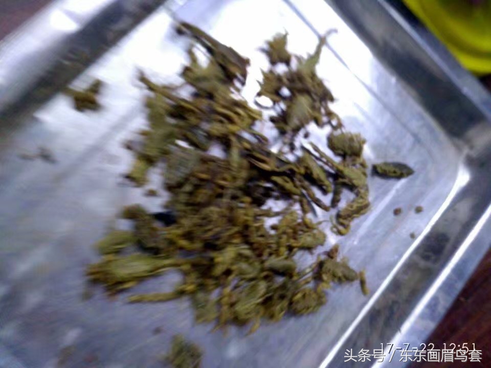 画眉鸟换毛期间可以洗澡吗,画眉鸟换毛期喂什么料最好