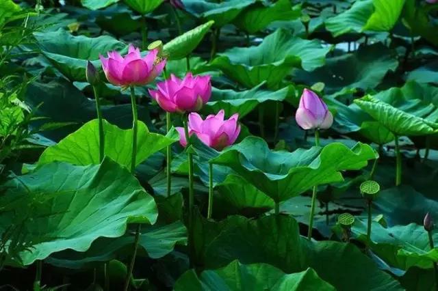 长春周边最美的8座山,长春周边值得爬的山