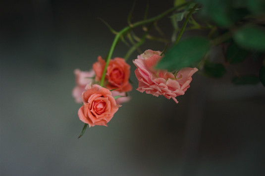 教你一招快速买入股票,炒股绝密买股技巧