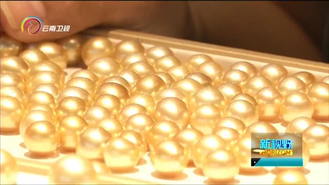 新视角淘宝分店,新视野新观察