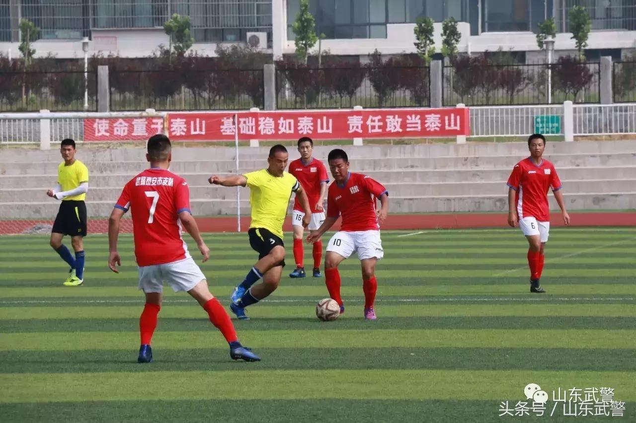 卫士动力110,卫士动力