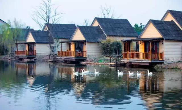 张家港城市发展得怎么样,为什么羡慕江浙沪