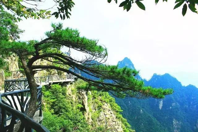 宁波东部最佳免费露营地,宁波免费十大露营地排名