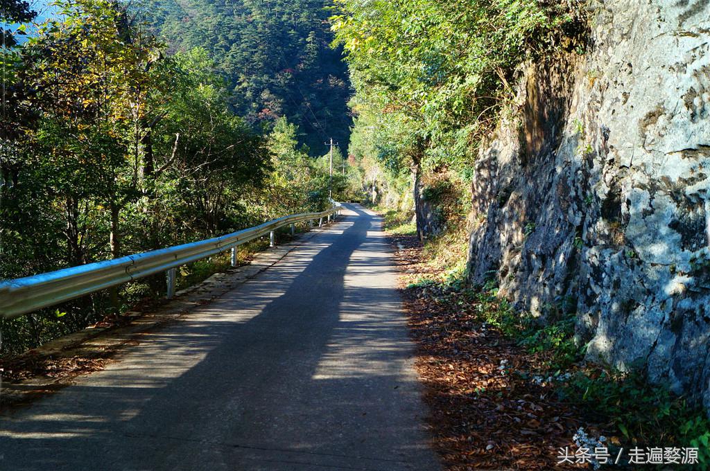 婺源千年茶乡,中国最美乡村婺源有什么美食