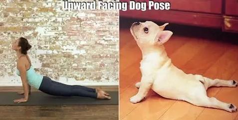 自己u盘装系统教程图解,u盘装系统深度篇最详细指南