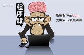 程序员零基础教学,程序员必备知识