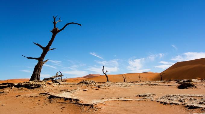 来到纳米比亚，你会知道什么才是非洲应有的样子！