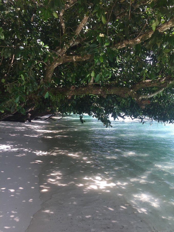 一起去帕劳旅游,去帕劳旅游自由行攻略