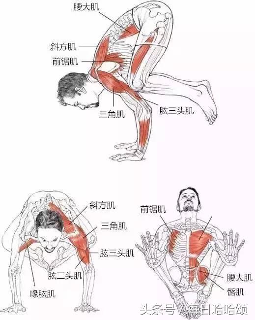 能撑住二十秒,小腹又平又紧实