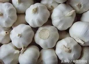 到吉林玩买啥、吃啥？再也不用刘烨代购吉林土特产了！