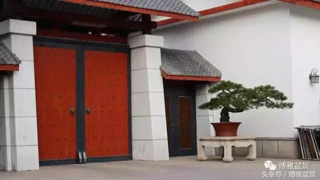 清逸园，一座闹中取静的“文人园林”