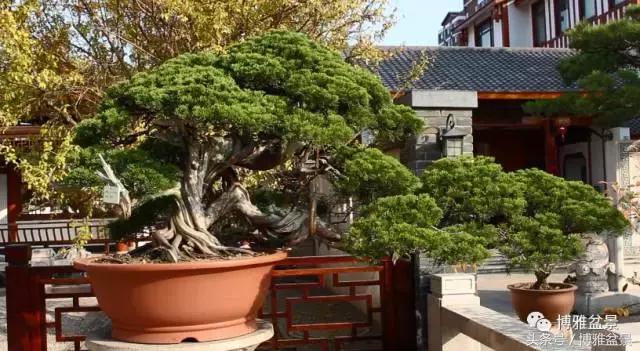 清逸园，一座闹中取静的“文人园林”