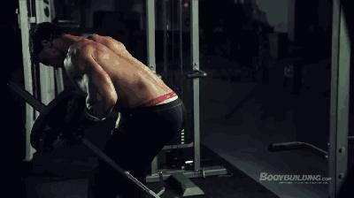 健身大叔健身房练背部最好的动作,健身男模背影高清图片