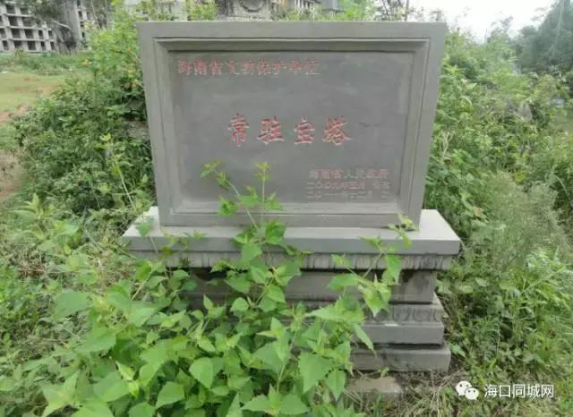 海口长流镇简介,海口秀英区长流镇简介