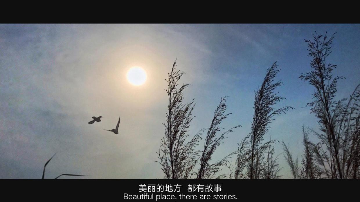 怎么给照片加印章水印,怎么在图片上加印章效果水印