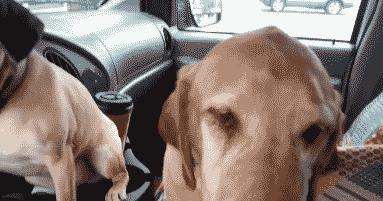 为什么你们男人都喜欢把TT放在枕头底下,男友看了我一眼就走了!