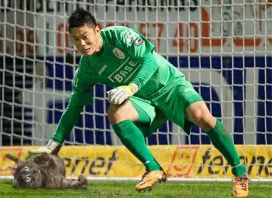 网友把足球p成猫之后，哈哈哈，第一张就笑疯