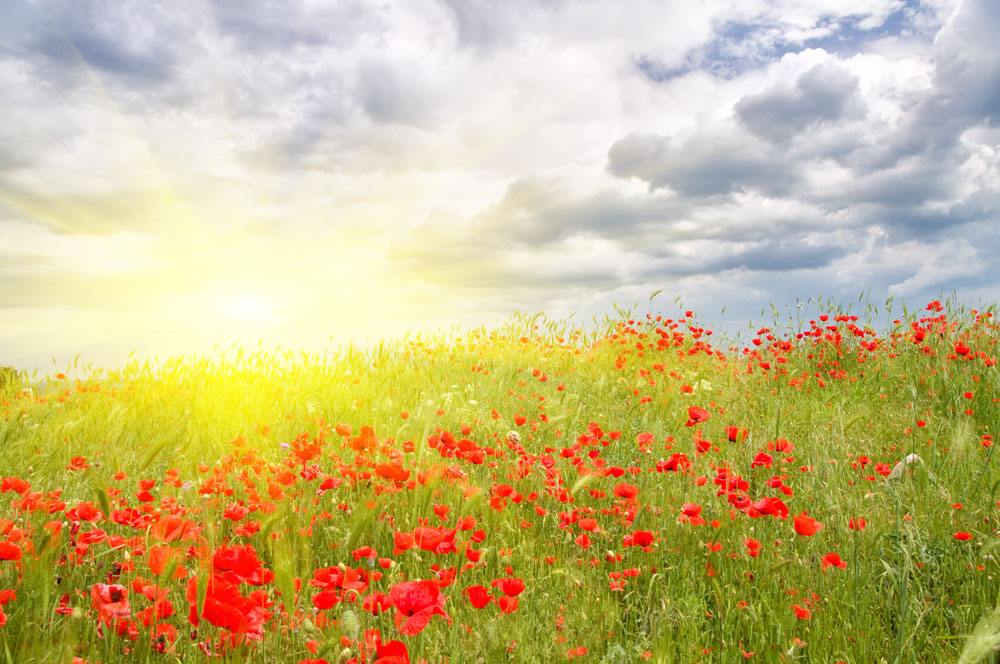 销售怎么绕过前台找到负责人,怎样绕过前台找到负责人