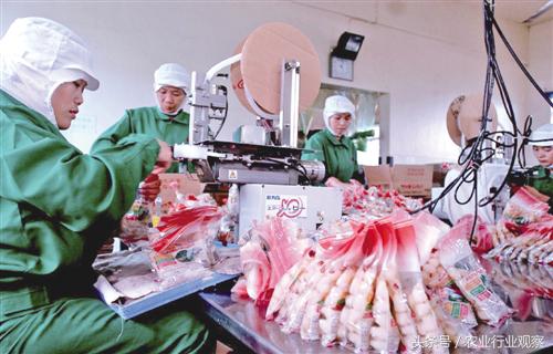 三农日报|村淘S2B2C模式是何物;温氏发布养殖行业5点判断