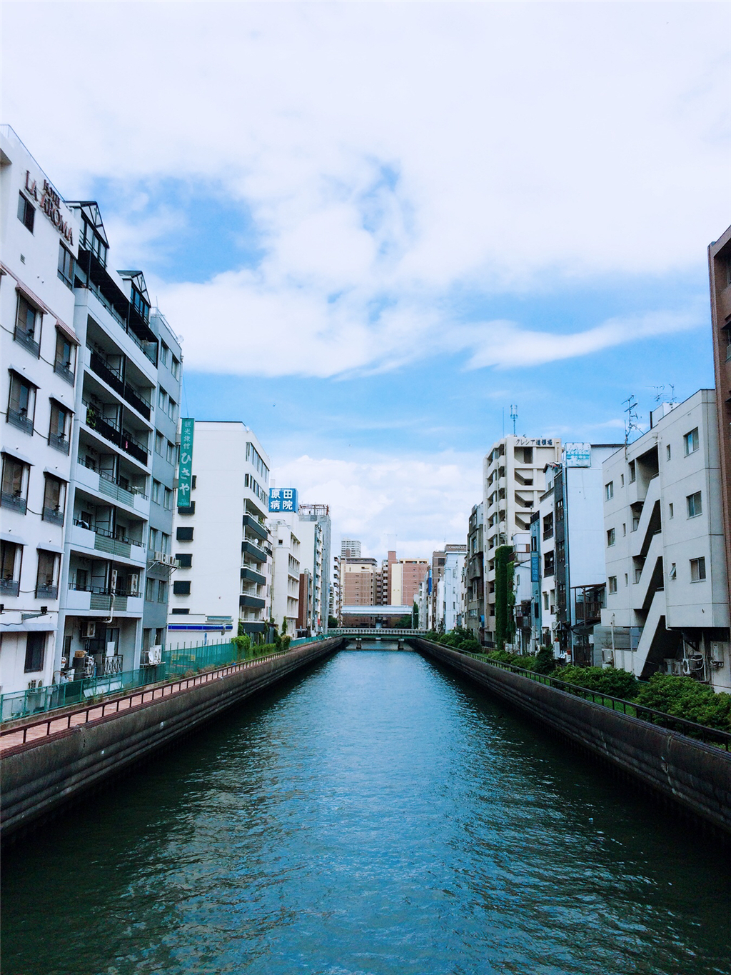 丽星邮轮8天7晚自由行攻略,丽星邮轮双子星号日本攻略