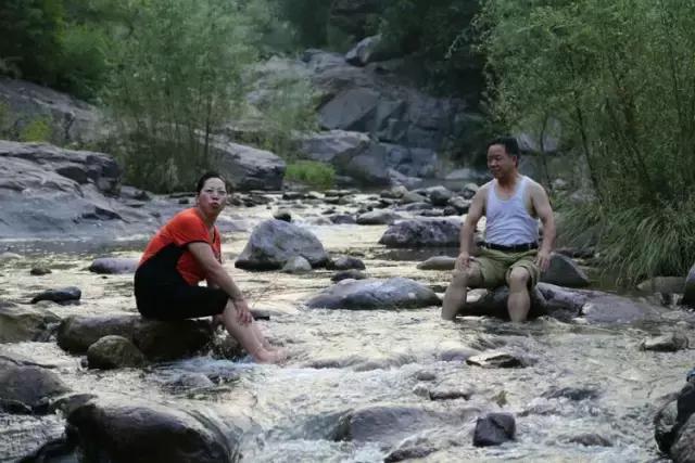 山西历山舜王坪大草原攻略,看云海高山草甸的地方