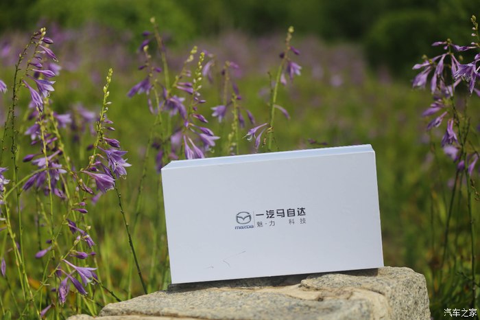 2020款马自达cx-4模型,18-19年马自达cx4顶配原版原漆