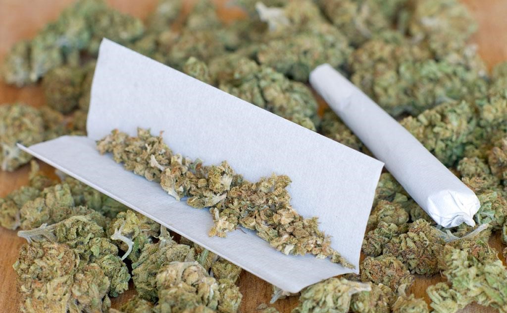 在国外的*麻大**竟然如此泛滥！（*麻大**主题城市、世界*麻大**日）