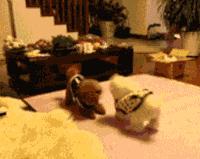 夕阳下的奔跑是我逝去的青春出处,我想起那天夕阳下的奔跑出自哪里