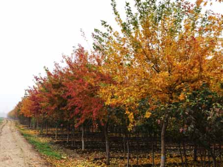 共赏美景愉悦心情,共赏大自然美景