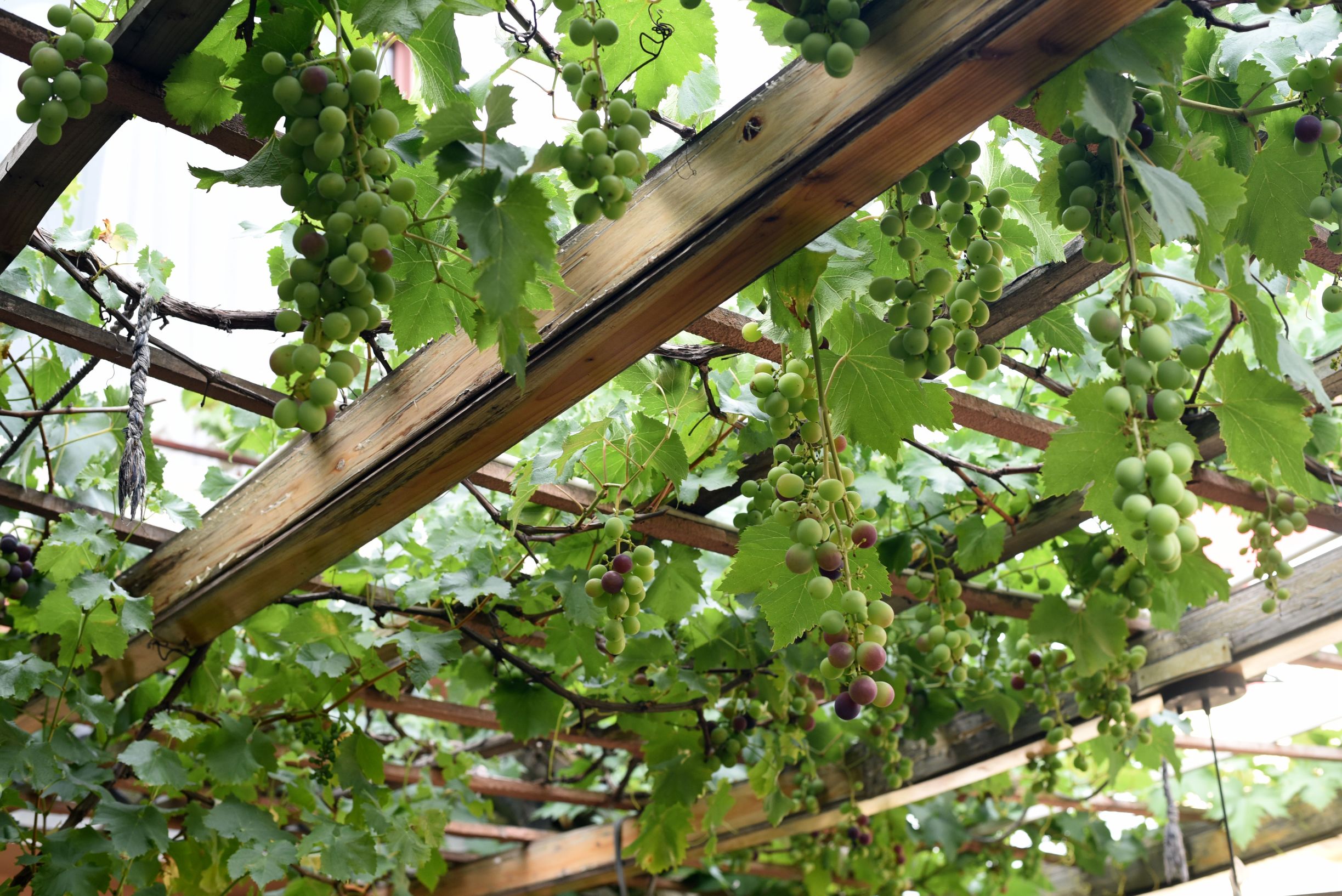 四川阿坝茂县美景,四川茂县简介