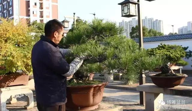 清逸园，一座闹中取静的“文人园林”