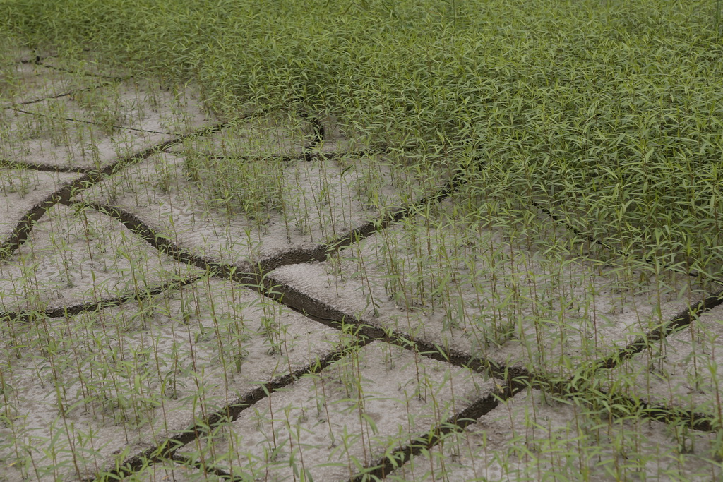 大武汉系列之武汉冶炼厂,大武汉系列之武汉印染厂