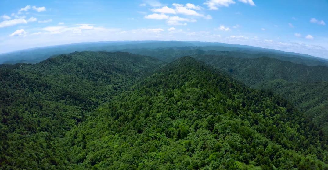 西安七夕公园,西安七夕公园有什么好玩的