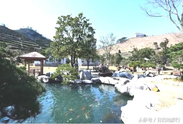 绿荫中的古村落,绿荫村庄图片