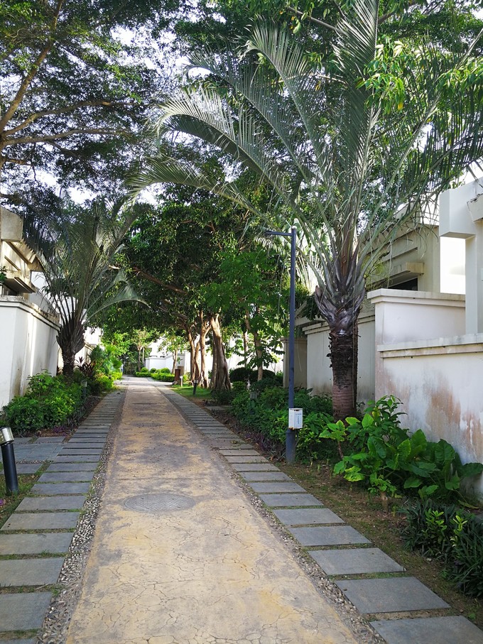 带着老妈和宝贝游三亚（两家铂尔曼和亚龙湾红树林度假之旅）