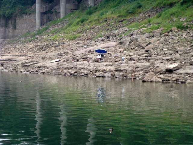 此鱼酷似老鼠，味道毫不逊于“长江三鲜”只是很难钓获