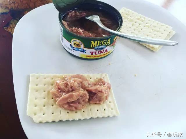 海桑团伙跨越南中国海