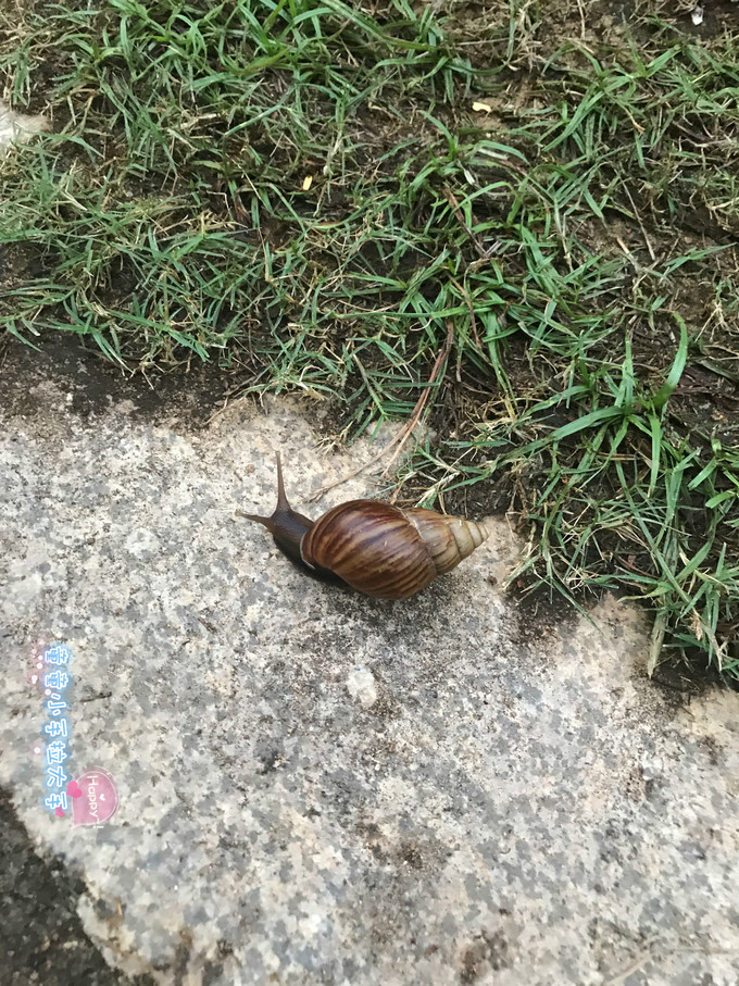 带孩子去三亚旅游吃什么,带小孩去三亚看海攻略