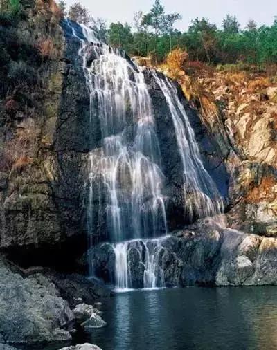 花如此多娇,花都如此多娇全文免费阅读