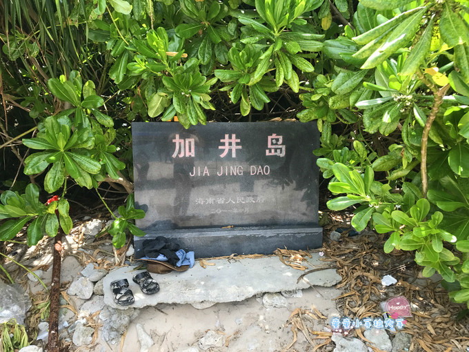 带孩子去三亚旅游吃什么,带小孩去三亚看海攻略