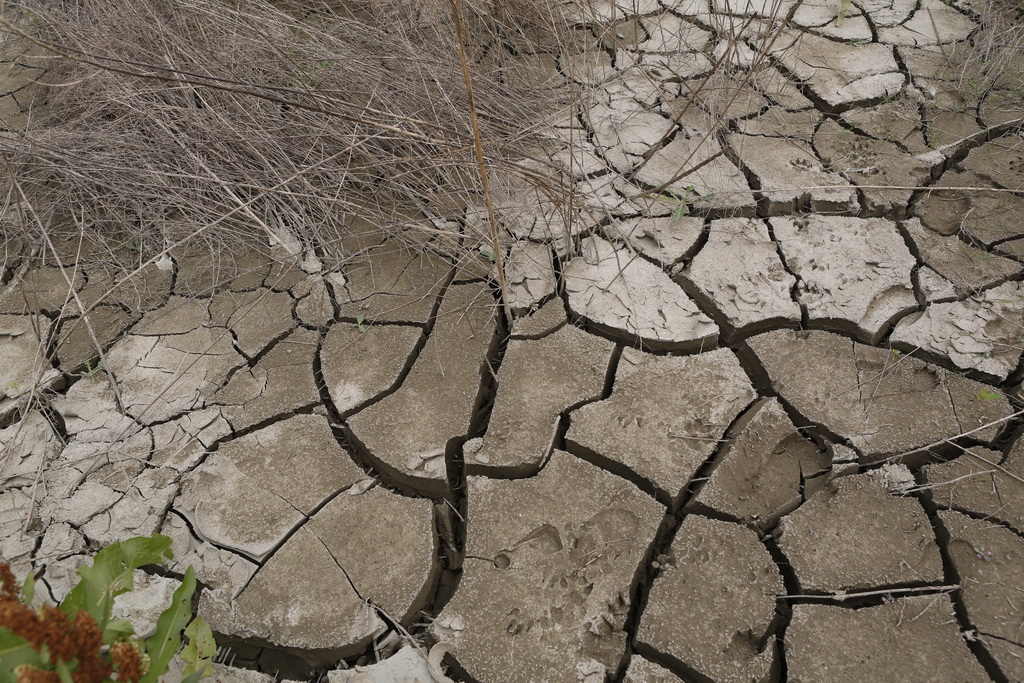 大武汉系列之武汉冶炼厂,大武汉系列之武汉印染厂