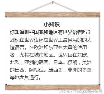 世界语文学史上的伯乐——莱托·罗塞蒂