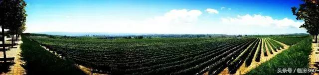 戎子酒庄酒业集团,戎子酒庄倾力打造